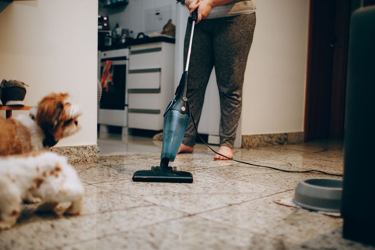 Pet-friendly recurring in South Congress